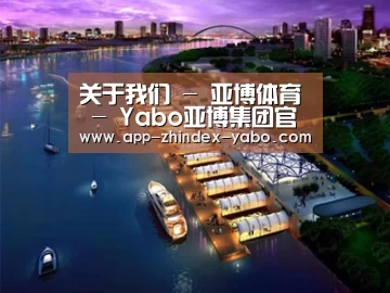 案例展示八