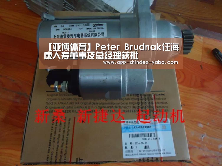 【亚博体育】Peter Brudnak任海康人寿董事及总经理获批(图2) 亚博体育
