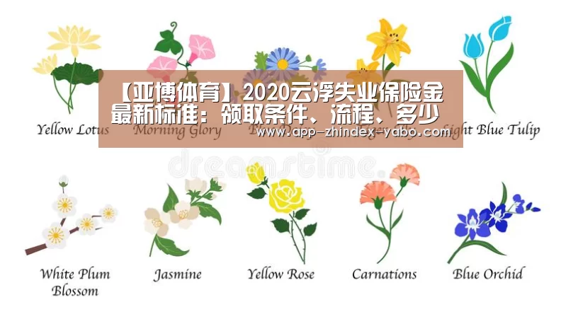 【亚博体育】2020云浮失业保险金最新标准:领取条件、流程、多少钱(图2) 亚博