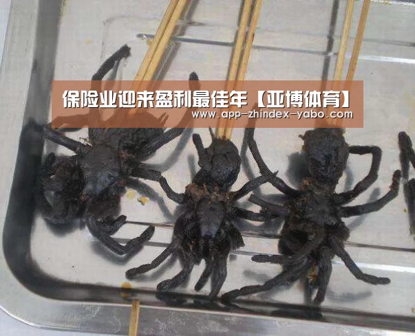 保险业迎来盈利最佳年【亚博体育】(图1) 亚博体育