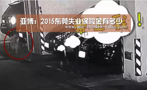 亚博:2015东莞失业保险金有多少(图2) 亚博体育
