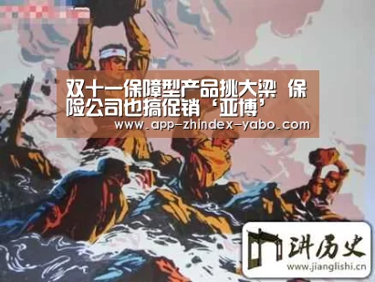 双十一保障型产品挑大梁 保险公司也搞促销‘亚博’(图1) 亚博官方网站