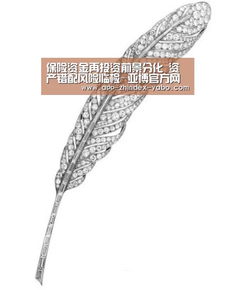 保险资金再投资前景分化 资产错配风险临检-亚博官方网站(图2) 亚博官方网站